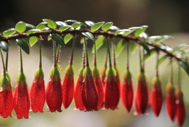 广州荔湾私人快速借钱网，轻松解决资金难题