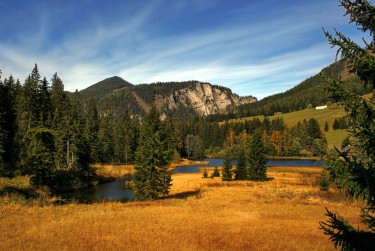 广州荔湾民间私贷攻略：揭秘低成本借贷的秘密