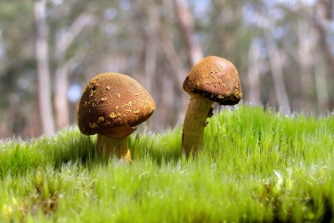 广州荔湾私人老板放款：轻松融资的秘密通道